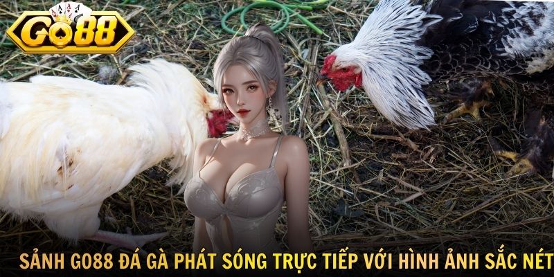 Sảnh GO88 đá gà phát sóng trực tiếp với hình ảnh sắc nét