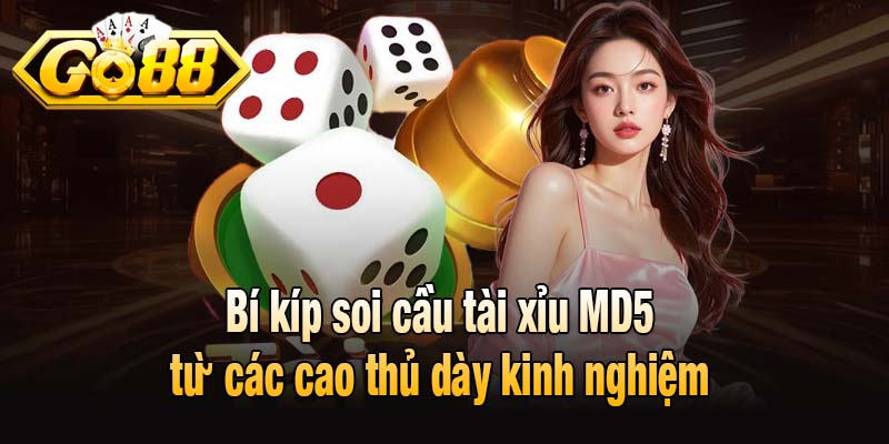 Bí kíp soi cầu tài xỉu MD5 từ các cao thủ dày kinh nghiệm
